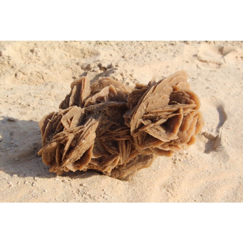 01 pc Raw Desert Rose Stone Selenite Đá Thô Hoa Hồng Sa Mạc