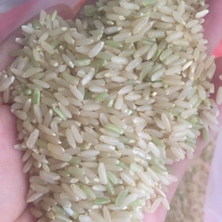 Gạo lứt trắng / gạo xát dối gói 5kg