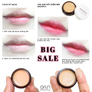 Che Khuyết Điểm Môi Innisfree Tapping Lip Concealer