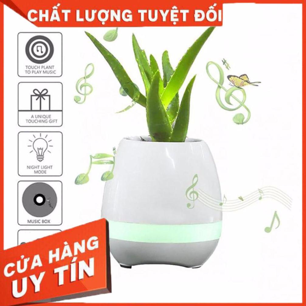 LOA NGHE NHẠC BLUETOOTH KIÊM CHẬU TRỒNG CÂY - CHƠI NHẠC PIANO