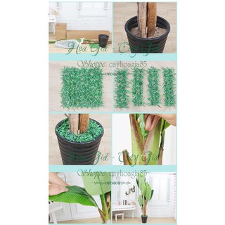 Cây Giả - Bụi Cây Chuối Cảnh 3 Cây