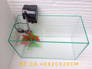 Bể cá size trung