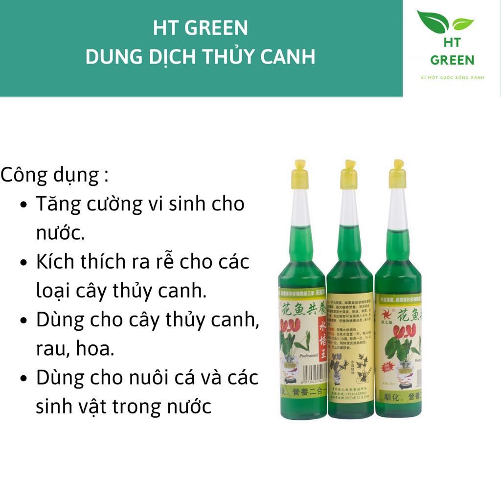 Dung dịch thuỷ canh chuyên dụng cho hoa, cây cảnh thủy sinh hiệu quả cao