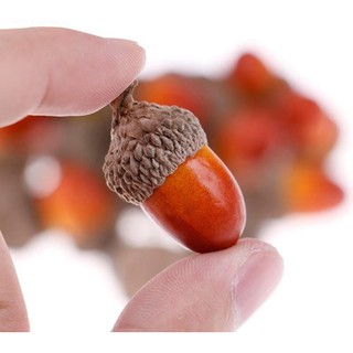 10 hạt dẻ nhựa trang trí giáng sinh, noel, vòng nguyệt quế