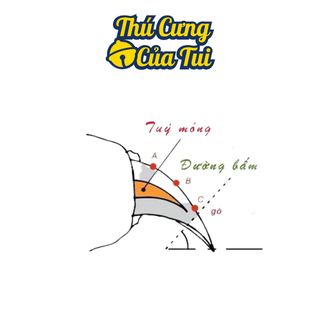 Kềm Cắt Móng Cho Chó Mèo Kèm Dũa - Thú Cưng Của Tui