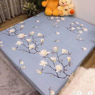 Ga Chống Thấm Cotton Hàn Quốc