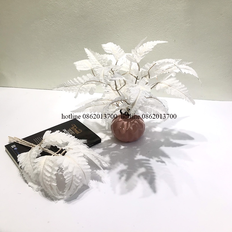 Lá Dương Xỉ - Phụ Kiện Trang Trí, Cắm Điểm, Decor lọ hoa, đạo cụ studio và chụp ảnh