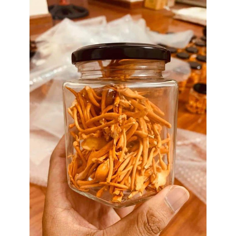 10gr đông trùng hạ thảo sấy thăng hoa | BigBuy360 - bigbuy360.vn