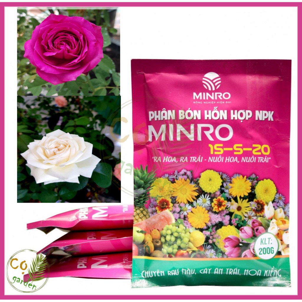 200gr - Phân Bón NPK MINRO 15-5-20+TE (200g) - Ra Hoa, Ra Trái - Nuôi Hoa, Nuôi Trái - Cọ garden