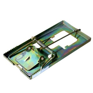Bẫy chuột răng cưa