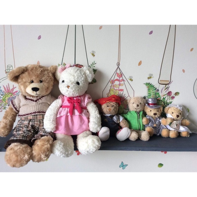 Set teddy 6 con