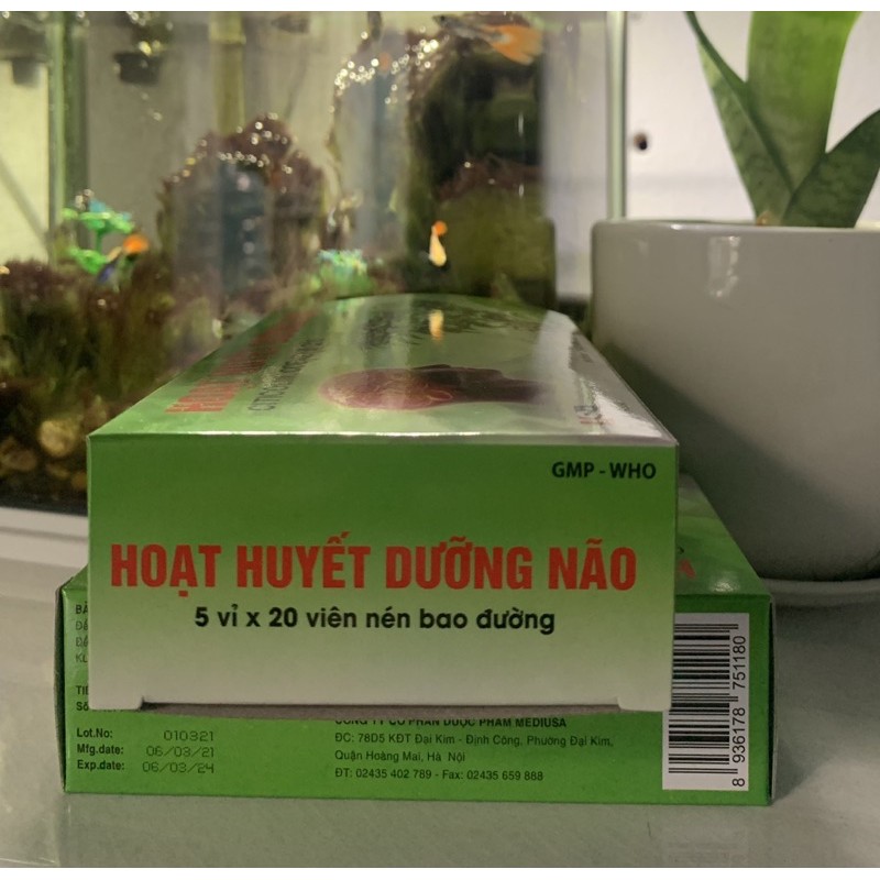 Hoạt huyết dưỡng não Citicolin Coenzym Q10 hộp 100 viên chính hãng cam kết hàng y hình