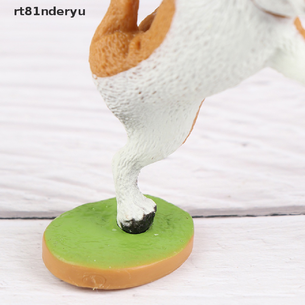 Mô Hình Chú Chó Husky Tập Yoga rt81nderyu