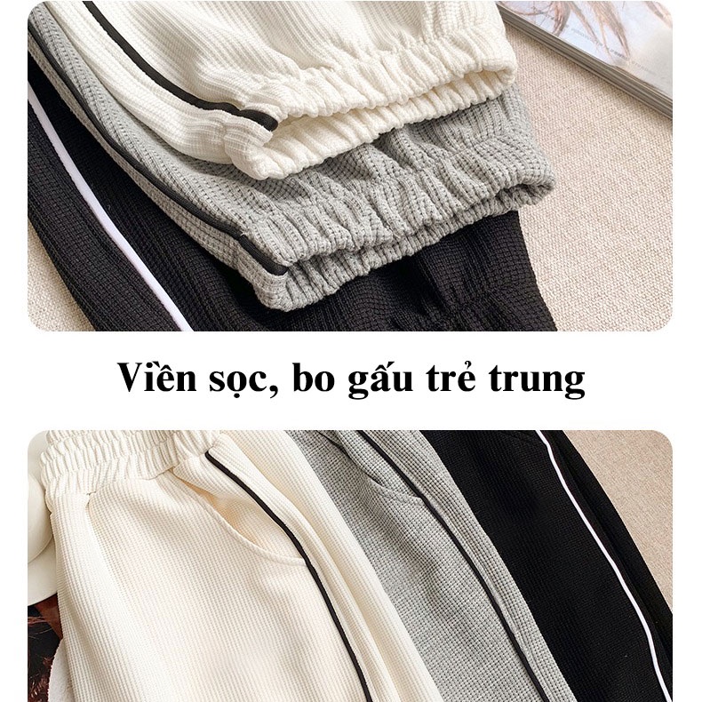 Quần Thể Thao Nữ Jogger 1 Sọc Bo Gấu Cạp Chun Màu Đen/Trắng/Ghi J912