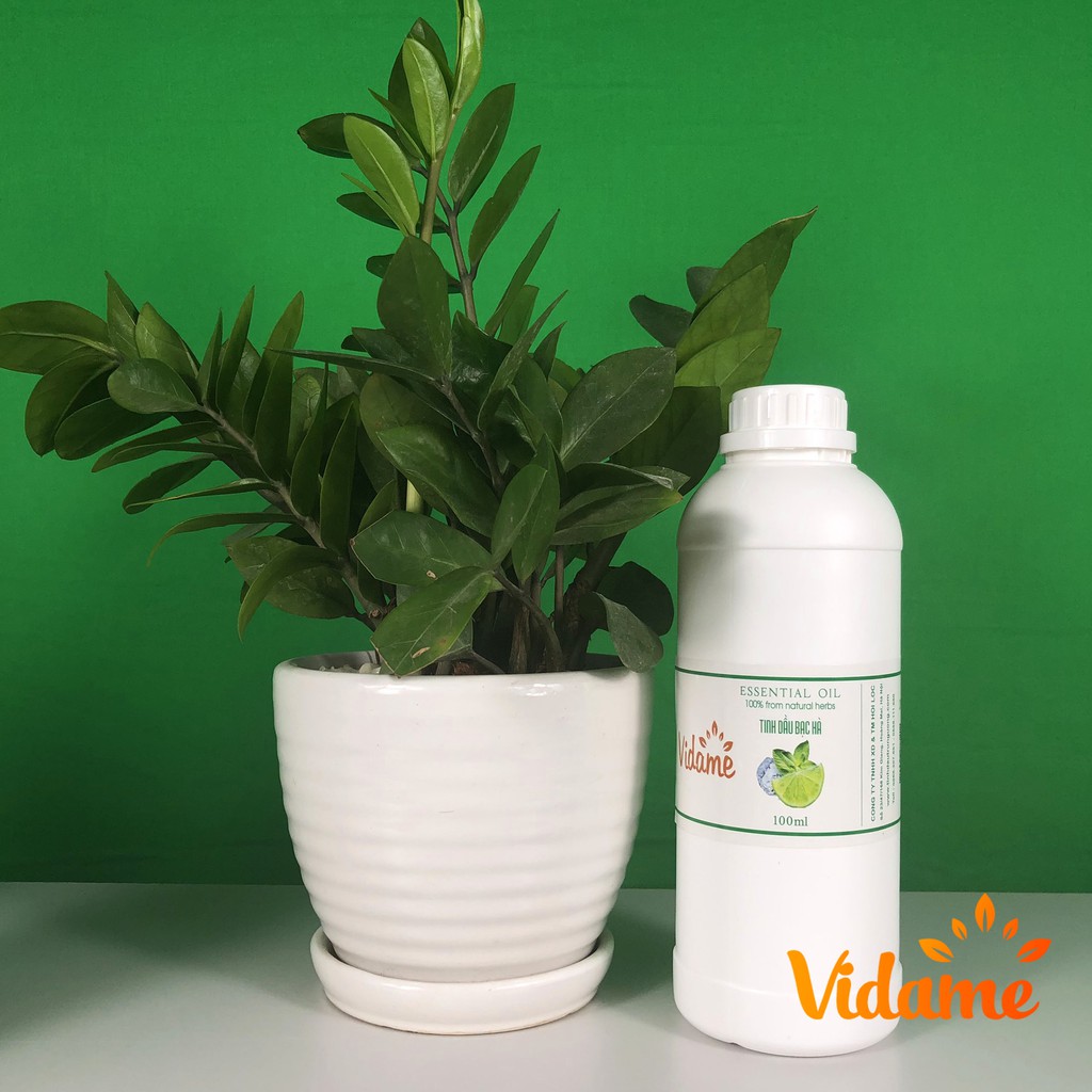 Tinh Dầu Bạc Hà Nguyên Chất 1 Lít VIDAME - Hàng Chính Hãng, Tinh dầu thơm xông phòng, bạc hà đuổi chuột, thơm mát