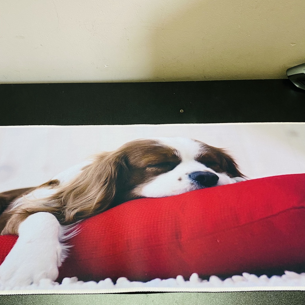 Miếng lót chuột cỡ lớn 2022 | Mousepad lớn chống trượt siêu bền siêu đẹp, chắc chắn.