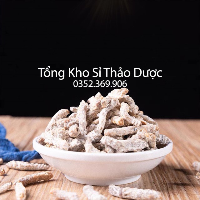 Bạch Cương Tằm 100g