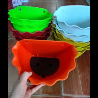 Chậu ốp tường dài 24cmx rộng 15cm