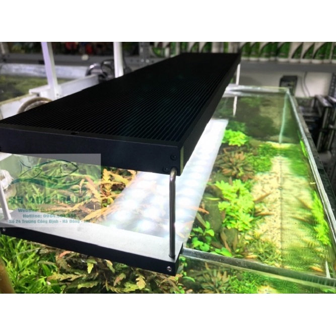 ĐÈN CHIHIROS WRGB2 45CM