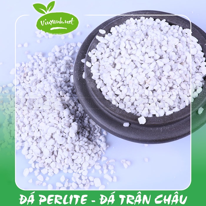 Đá perlite đá trân châu trắng/ đá bọt/ đá xốp (100gr) cho xương rồng, sen đá, cây cảnh tơi xốp đất/ hút ẩm