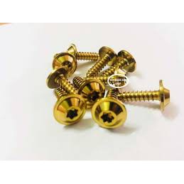 10 con ốc xi vàng gắn dàn áo cho mọi loại xe( răng thưa) - A.HAI3
