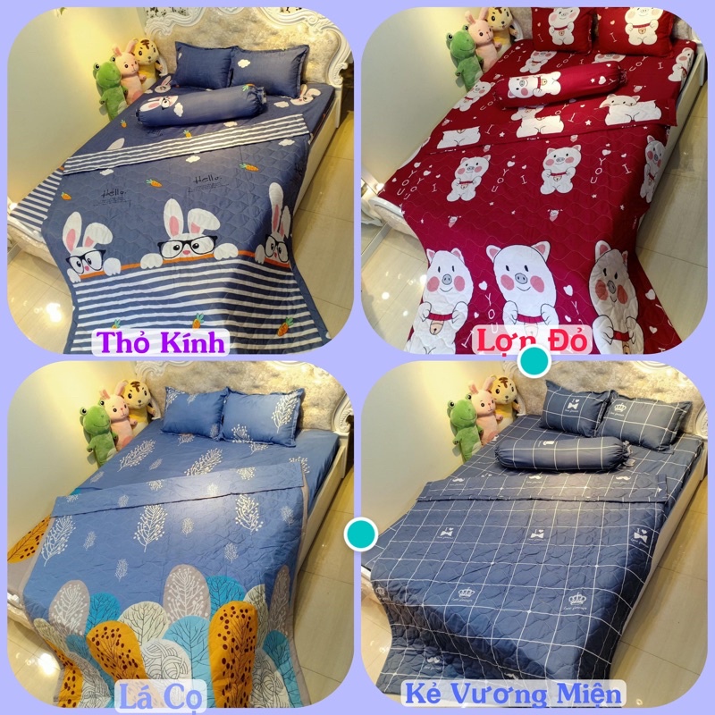 Trọn Bộ 5 Món Chăn Hè Trần Bông Và Ga Gối Poly Cotton Nhiều Mẫu Mới | BigBuy360 - bigbuy360.vn