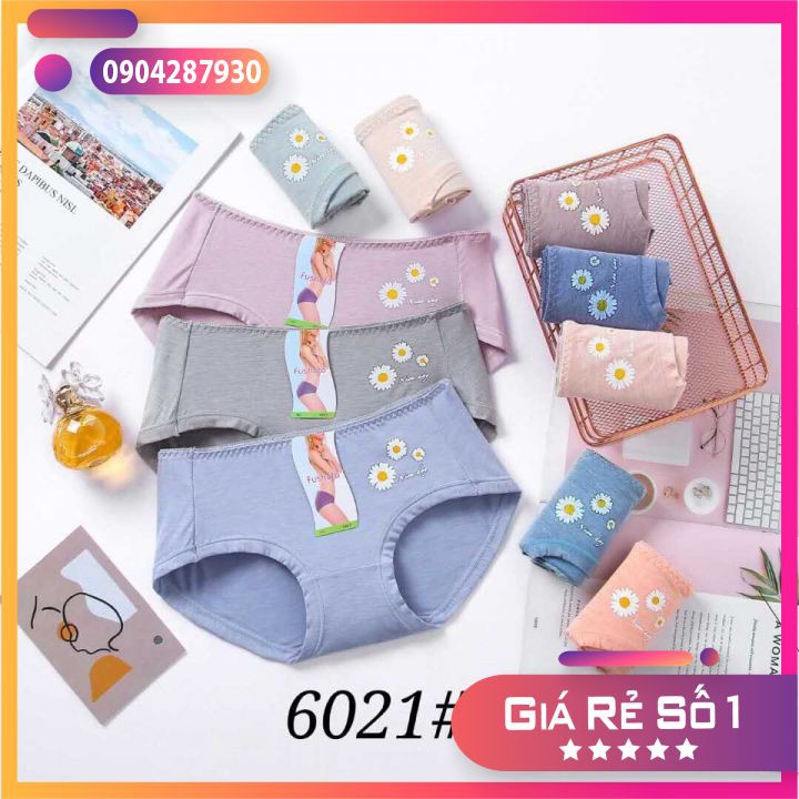 [FREESHIP] Quần lót nữ - COMBO 5 quần lót nữ cotton viền ren thêu hoa cúc - Vạn xuân shop