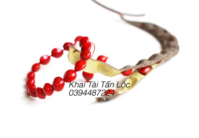 Vòng tay hạt đậu đỏ - Hồng đậu - tình yêu nồng thắm kèm hộp sang trọng
