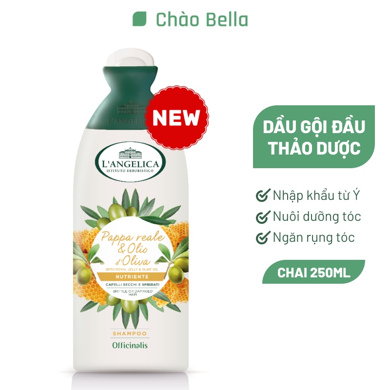 Dầu Gội Phục Hồi Và Nuôi Dưỡng Tóc Hư Tổn Langelica Shampoo Nourishing for Brittle and Damaged Hair 250ml - @chaobella