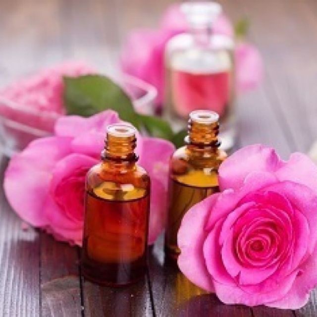 Tinh Dầu Hoa Hồng 15ml LMP3002 LACASA