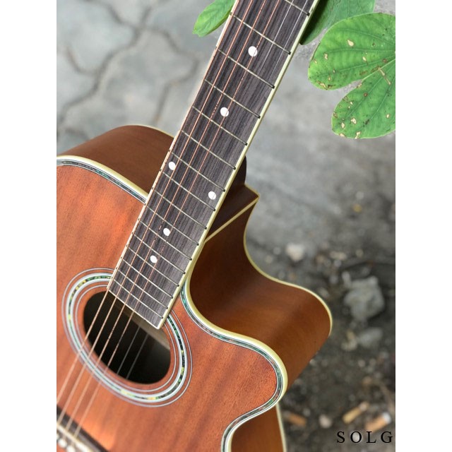 Guitar Acoustic VA4045N Gỗ Linden Xịn Nguyên Tấm - Sol.G