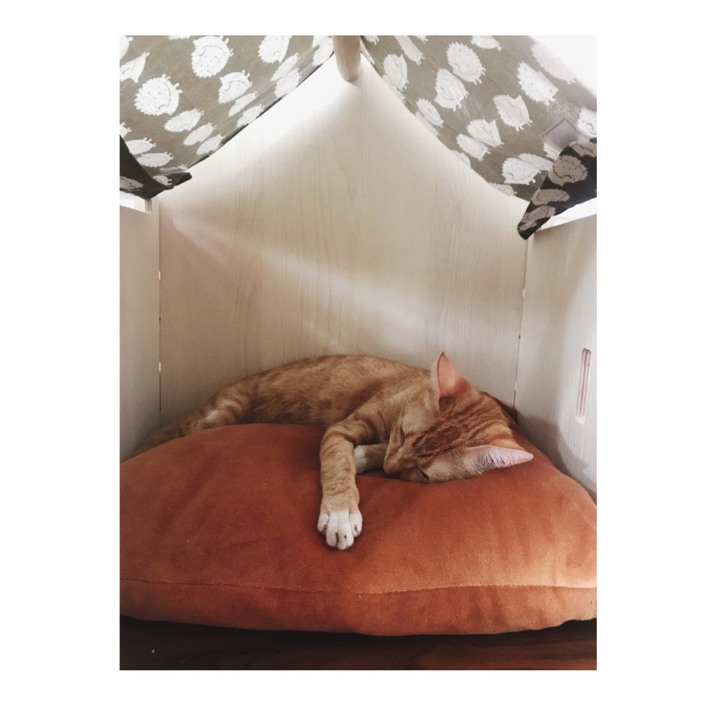 Nhà Gỗ Thú Cưng Cho Chó Mèo Không Thấm Nước  - Jecris Nội Thất Sáng Tạo