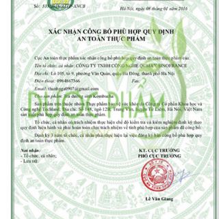 Trà dưỡng sinh kombucha