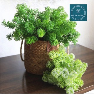 Cụm lá Thuỷ thảo nhân tạo màu sắc tươi sáng dùng trang trí không gian sống