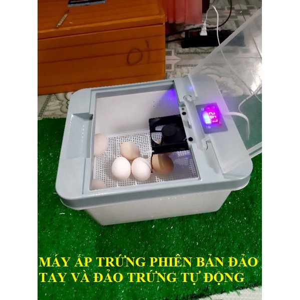 Máy ấp trứng mini 20- 32 sử dụng quạt nhiệt(sẵn hàng)