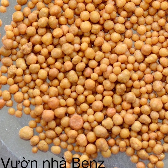 Phân tan chậm hạt vàng NPK 14-14-14 Osmocote Mỹ