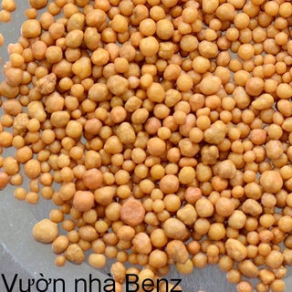 Phân tan chậm hạt vàng npk 14-14-14 osmocote mỹ