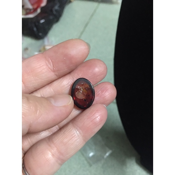 Hai viên hổ phách si tuyển Nhật