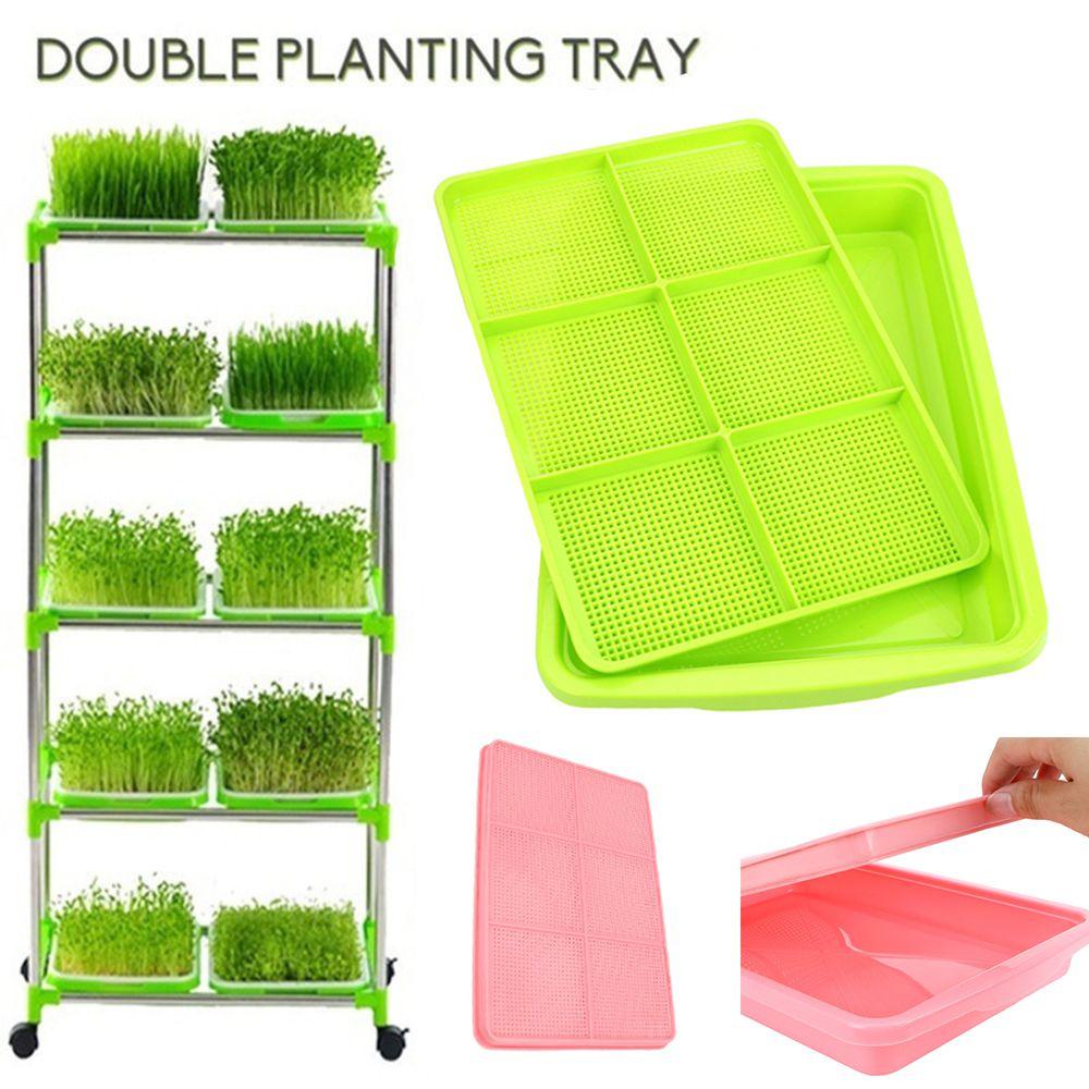 Khay Trồng Cây Mầm Bằng Lúa Mạch Chất Lượng Cao