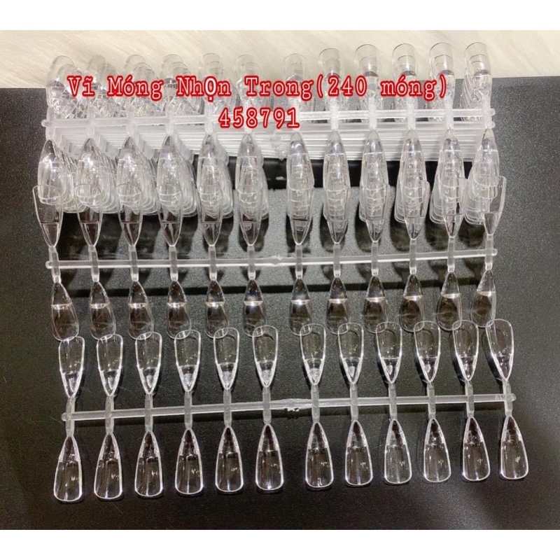 Vĩ móng tập sơn - vẽ - gắn sổ mẫu mới