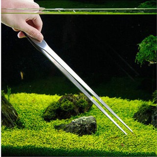 Nhíp inox trồng cây thủy sinh