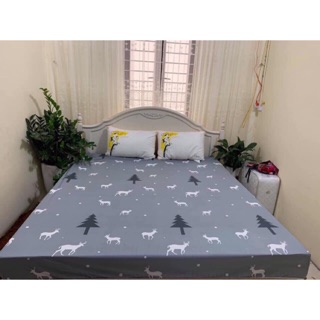 Ga chống thấm 100% cotton-đủ kích thước- chọn mẫu