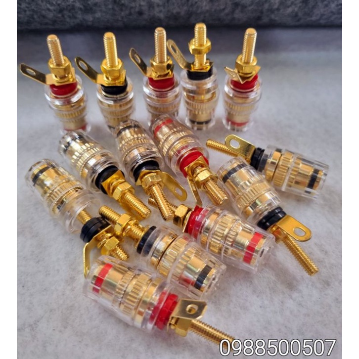 Jack  loa đỏ đen