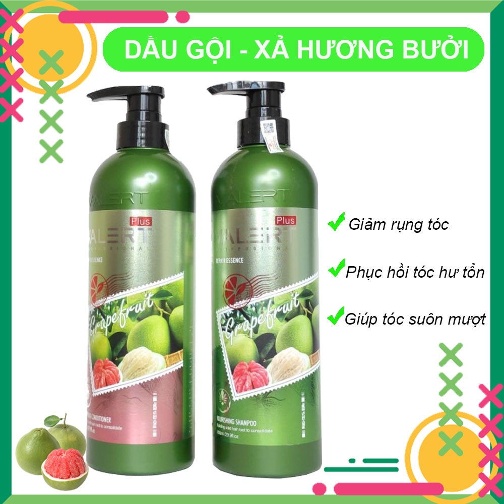 [HÀNG TỐT] CẶP DẦU GỘI XẢ HƯƠNG BƯỞI - NUÔI DƯỠNG TÓC MỀM MƯỢT, NGĂN NGỪA RỤNG TÓC, KÍCH THÍCH MỌC TÓC THÊM VÀO GIỎ