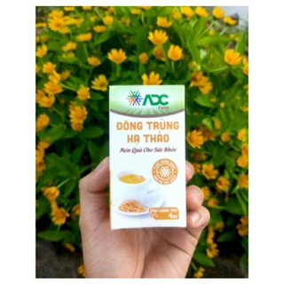 ĐÔNG TRÙNG HẠ THẢO ĐÓNG HỘP ADC