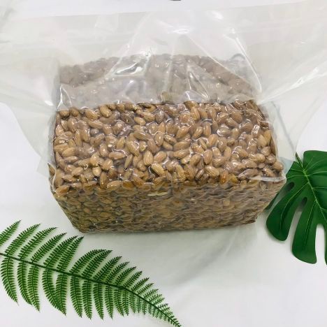 Hạnh nhân sấy giòn hafood, giúp giảm nguy cơ tiểu đường 500gr | BigBuy360 - bigbuy360.vn