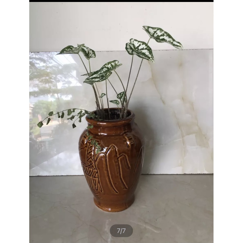 Chậu trồng cây nghệ thuật
