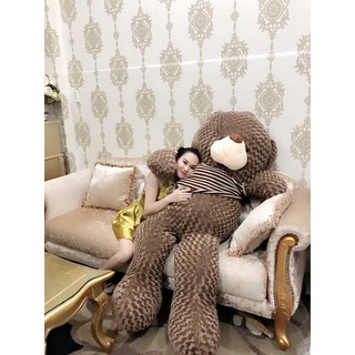 Gấu bông Teddy [_GIÁ GỐC TẬN XƯỞNG_]  Gối ôm Teddy  Hình Thú Làm Quà Tặng Siêu Đáng Yêu 95cm-1m8