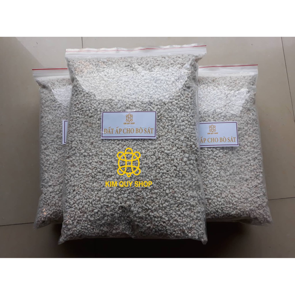 ĐẤT ẤP TRẮNG CHO BÒ SÁT