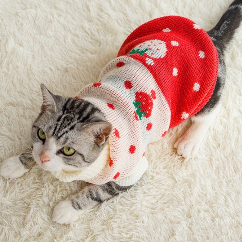 Áo len cổ lọ dệt kim cho thú cưng 🧶 Áo len siêu xinh cho chó mèo